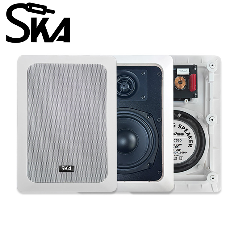 Home Cinema Encastrable - Haut-parleur mural rectangulaire encastré de 5