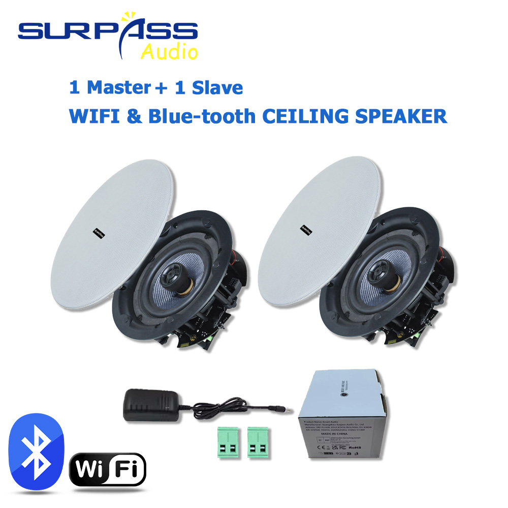 Home Cinema Encastrable - Ensemble de 2 enceintes de plafond