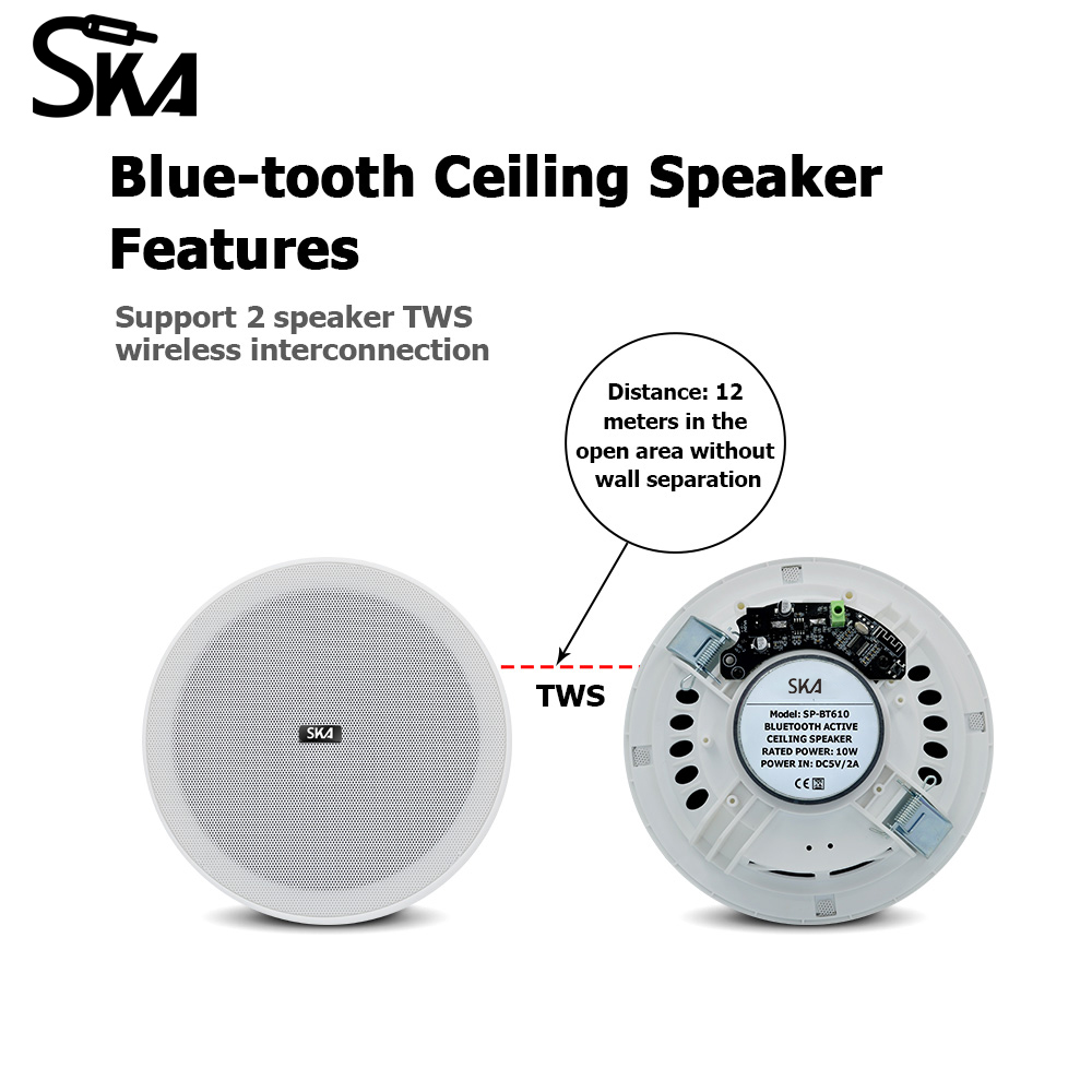 Haut-parleur Bluetooth Encastr - Home Cinema Encastrable avis et prix