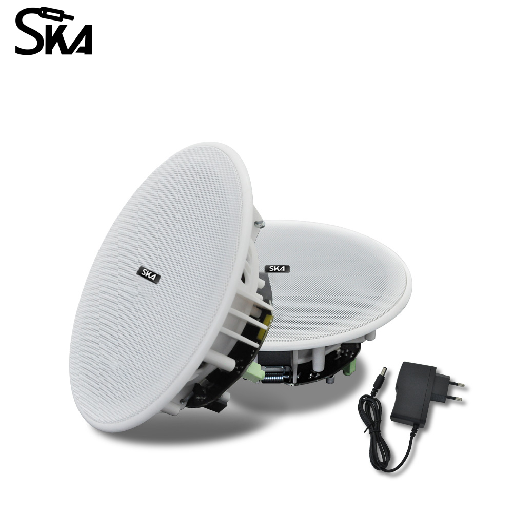 Haut-parleur Bluetooth Encastr - Home Cinema Encastrable avis et prix