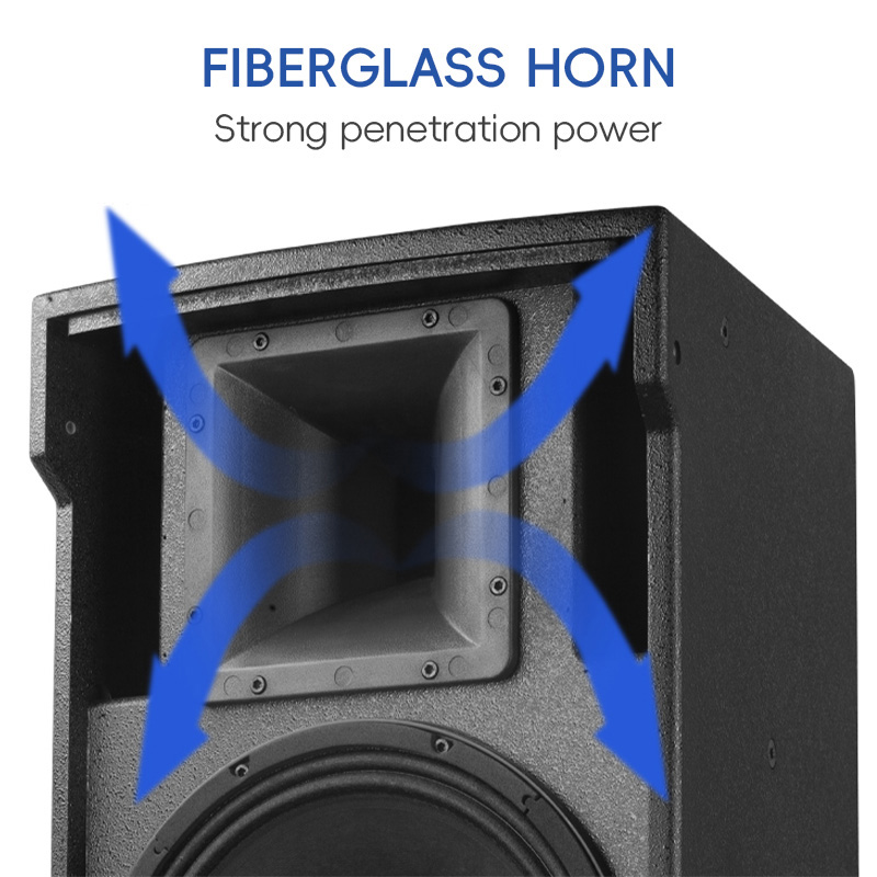 Haut-parleur passif 10/12 pouc - Home Cinema Xlr avis et prix
