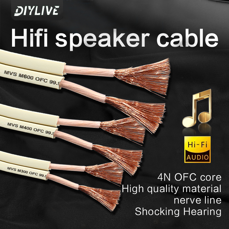 Câble audio HIFI DIYLIVE pour  - Home Cinema Xlr avis et prix