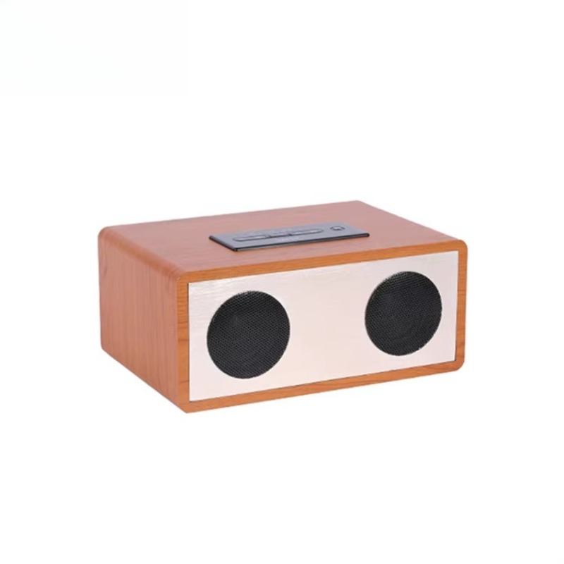 Haut-parleur karaoké avec logo - Home Cinema Xlr avis et prix
